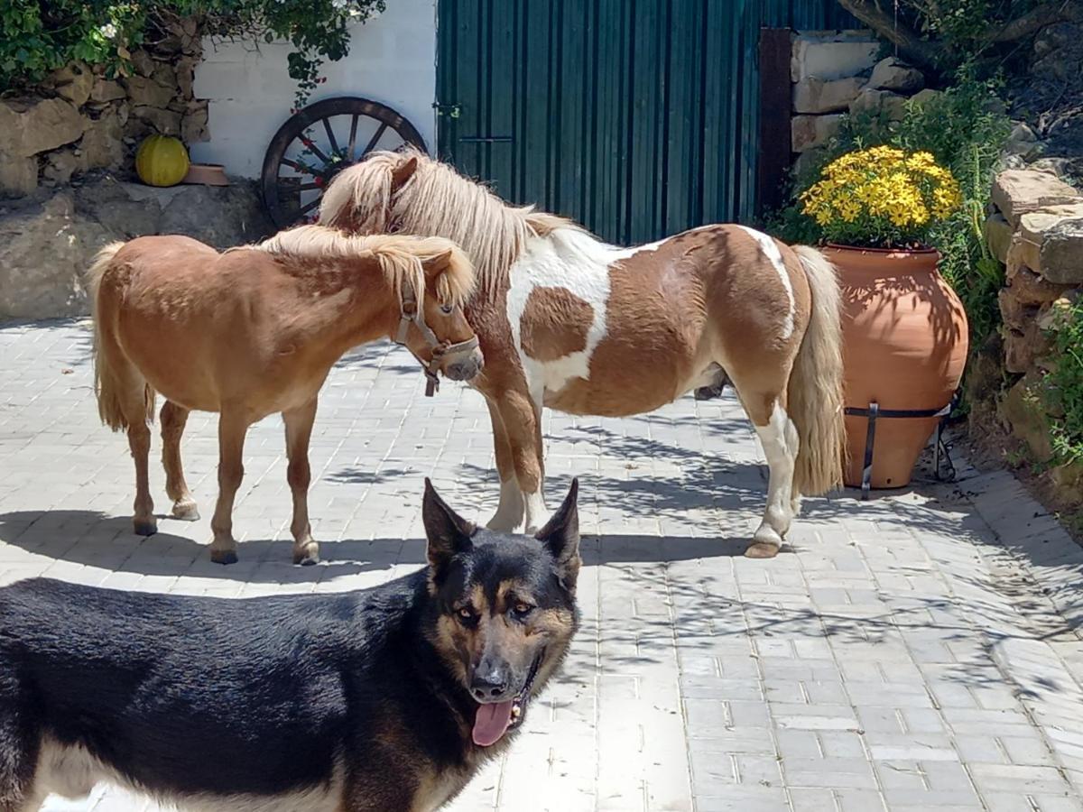 Casinha De Ferias No Campo - Quintinha Dos Cavalos - Arruda Dos Vinhos Sabugos Екстериор снимка