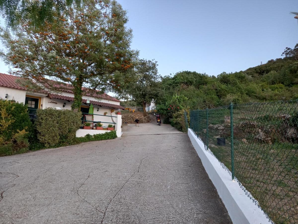Casinha De Ferias No Campo - Quintinha Dos Cavalos - Arruda Dos Vinhos Sabugos Екстериор снимка